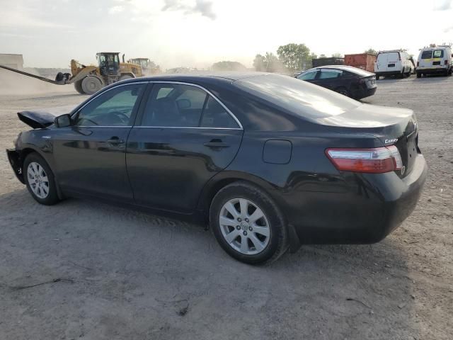 2009 Toyota Camry Hybrid