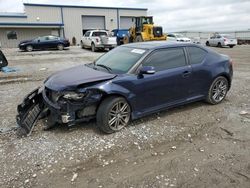 Salvage cars for sale from Copart Earlington, KY: 2012 Scion TC