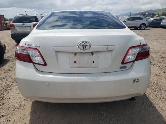 2009 Toyota Camry Hybrid