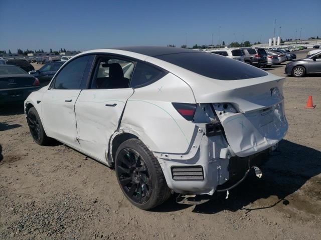 2020 Tesla Model Y