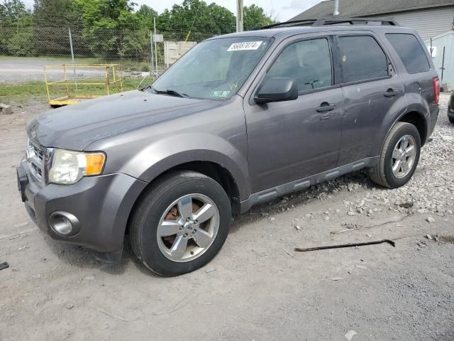 2011 Ford Escape XLT