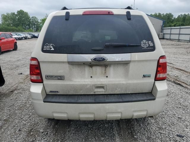 2011 Ford Escape Limited