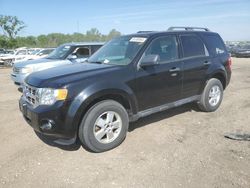 Salvage cars for sale from Copart Des Moines, IA: 2009 Ford Escape XLT