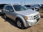 2009 Ford Escape Hybrid