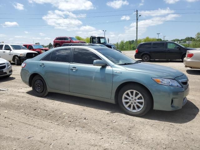 2010 Toyota Camry Hybrid