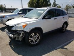 Salvage cars for sale at Rancho Cucamonga, CA auction: 2010 Honda CR-V EX