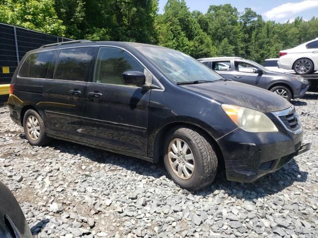 2008 Honda Odyssey EXL