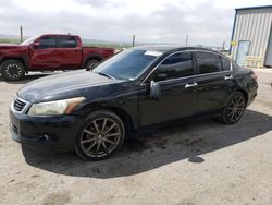 Salvage cars for sale from Copart Albuquerque, NM: 2009 Honda Accord EXL