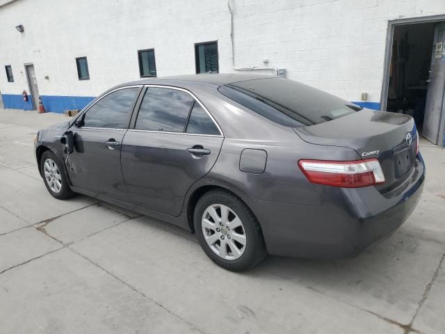 2009 Toyota Camry Hybrid