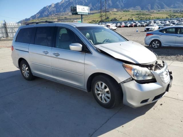 2010 Honda Odyssey EXL