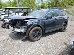Salvage cars for sale at Marlboro, NY auction: 2023 Honda CR-V Sport