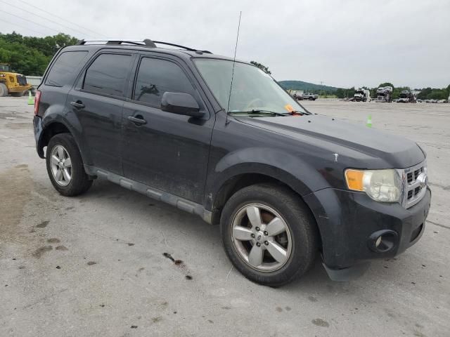 2011 Ford Escape Limited