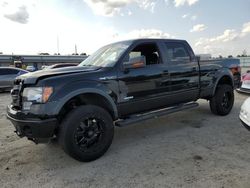 Salvage cars for sale at Harleyville, SC auction: 2013 Ford F150 Supercrew