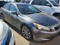 Salvage cars for sale from Copart Bakersfield, CA: 2010 Honda Accord EXL