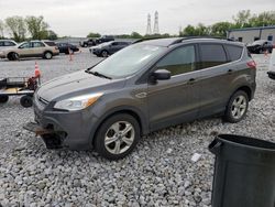 Salvage cars for sale at Barberton, OH auction: 2015 Ford Escape SE