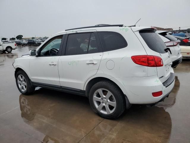 2009 Hyundai Santa FE SE