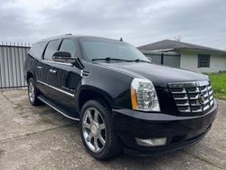 Vehiculos salvage en venta de Copart Houston, TX: 2008 Cadillac Escalade ESV