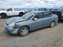 Salvage cars for sale at Helena, MT auction: 2007 Chevrolet Malibu LT