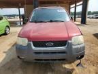 2003 Ford Escape XLT