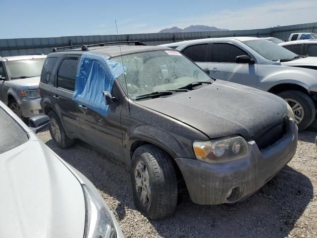 2007 Ford Escape XLT