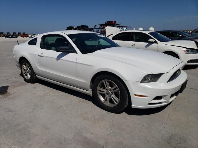 2014 Ford Mustang