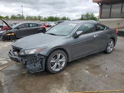 Salvage cars for sale at Fort Wayne, IN auction: 2012 Honda Accord EXL