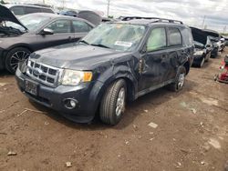 Salvage cars for sale at Elgin, IL auction: 2009 Ford Escape XLT