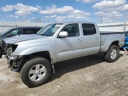 Toyota Tacoma salvage cars for sale: 2008 Toyota Tacoma Double Cab Long BED