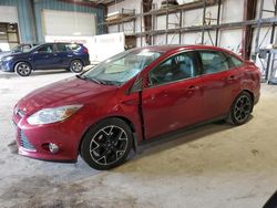 Ford Focus salvage cars for sale: 2014 Ford Focus SE