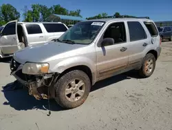 Salvage cars for sale at Spartanburg, SC auction: 2006 Ford Escape XLT