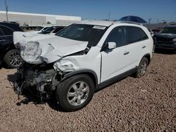 Salvage cars for sale at Phoenix, AZ auction: 2013 KIA Sorento LX