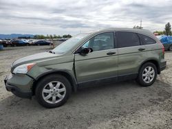 Salvage cars for sale from Copart Eugene, OR: 2009 Honda CR-V EX