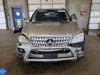 2006 Mercedes-Benz ML 350