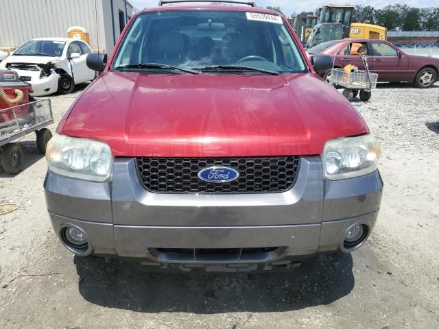 2005 Ford Escape XLT