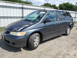 Salvage cars for sale at Hampton, VA auction: 2004 Honda Odyssey EXL