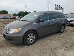 Salvage cars for sale at Columbus, OH auction: 2011 Honda Odyssey EXL