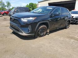 Salvage cars for sale at New Britain, CT auction: 2024 Toyota Rav4 LE