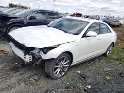 Salvage cars for sale from Copart Montreal Est, QC: 2023 Cadillac CT4 Sport