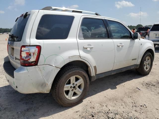 2008 Ford Escape HEV