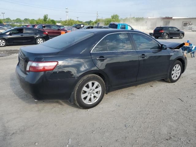 2009 Toyota Camry Hybrid