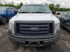 2010 Ford F150