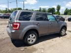 2012 Ford Escape XLS