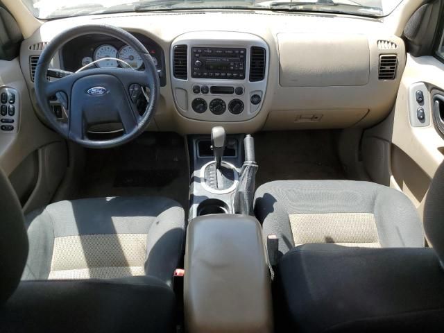 2007 Ford Escape XLT