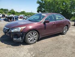 Salvage cars for sale from Copart Baltimore, MD: 2011 Honda Accord EXL