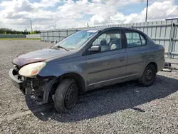Salvage cars for sale at Ottawa, ON auction: 2003 Toyota Echo