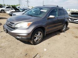 Salvage cars for sale at Elgin, IL auction: 2010 Honda CR-V EXL