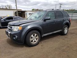 Salvage cars for sale at New Britain, CT auction: 2009 Ford Escape Hybrid