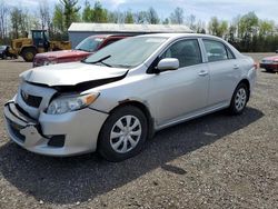 Salvage cars for sale at Bowmanville, ON auction: 2010 Toyota Corolla Base