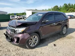 Salvage Cars with No Bids Yet For Sale at auction: 2014 KIA Sorento EX