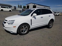 Chevrolet Captiva salvage cars for sale: 2012 Chevrolet Captiva Sport